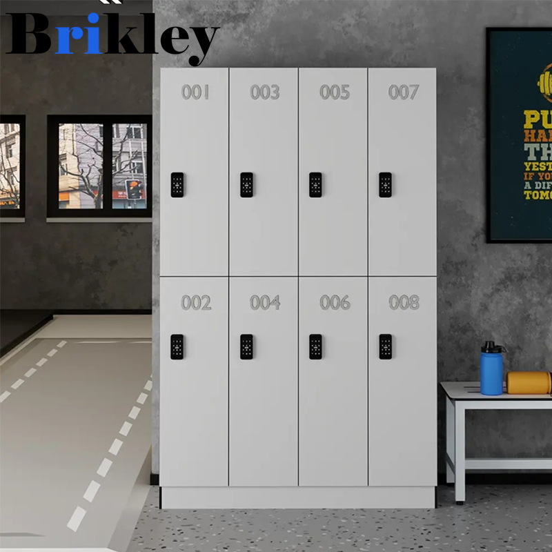 Brikley Electronic Storage Cabinet: Intelligent & Safe